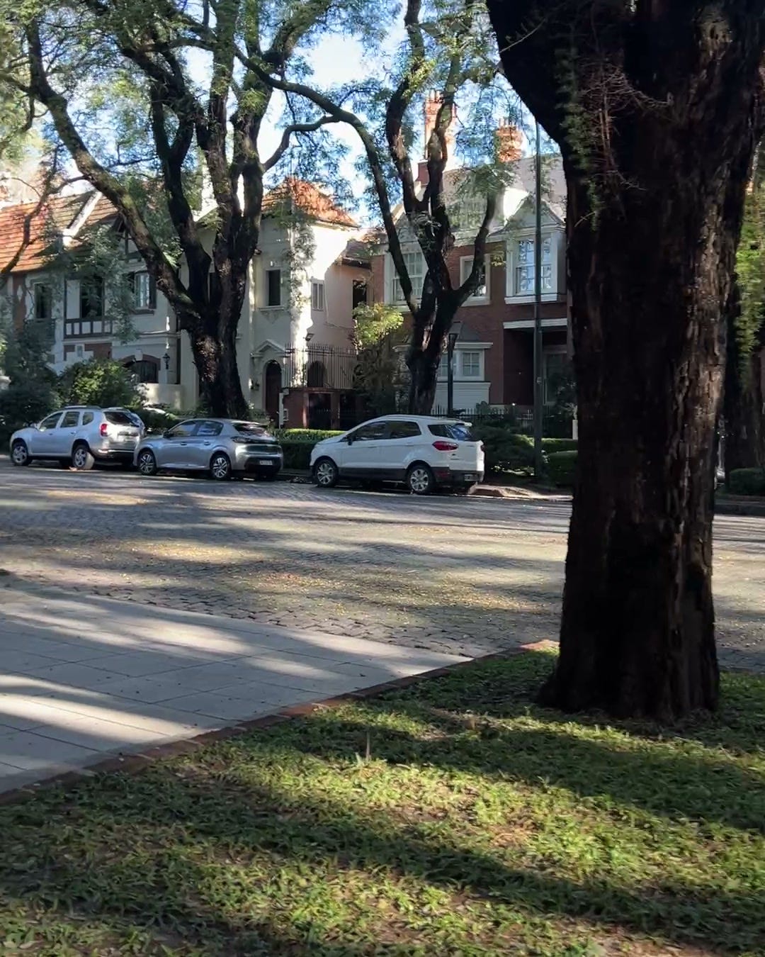 Calle de Belgrano R: casas viejas, árboles grandes y la vereda ancha